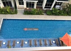 eCO (D16), Condominium #471708461